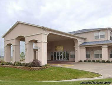 Super 8 By Wyndham Greenville Esterno foto